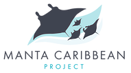 Manta Caribbean Project